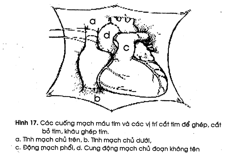 ![enter image description here